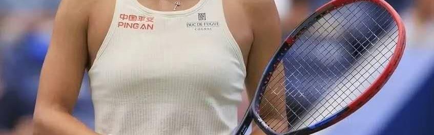 开云官网-王雅繁因伤退出澳网，中国女单仅剩两人，梅总进决赛迎城市定律