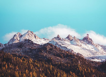 开云-你以为只有后卫变门神？这场点球大战超级奇葩！